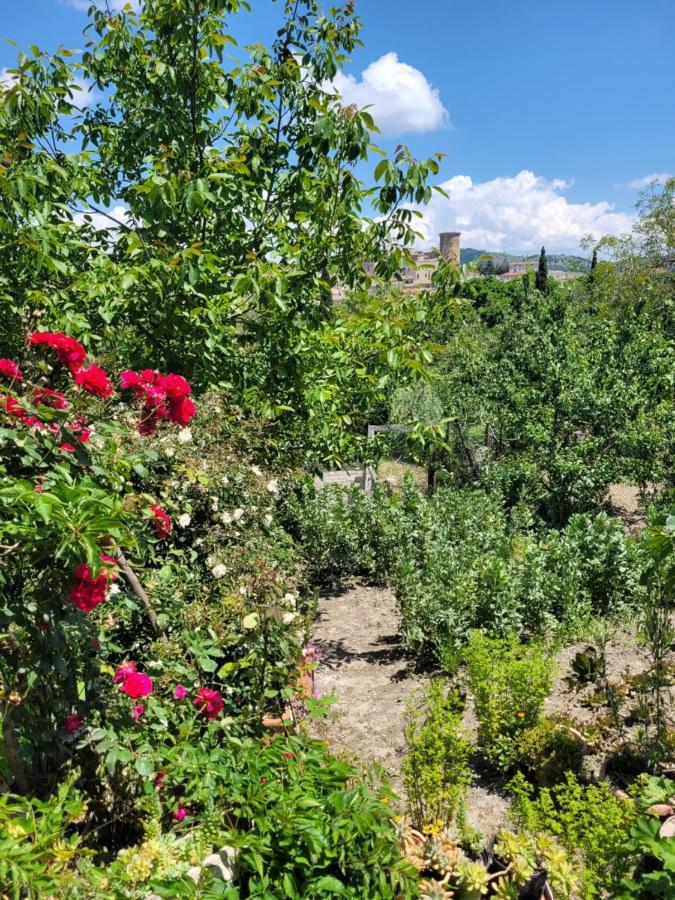 Comfort, Parcheggio E Balcone Su Tricarico In Basilicata, Io Sono Qui 외부 사진
